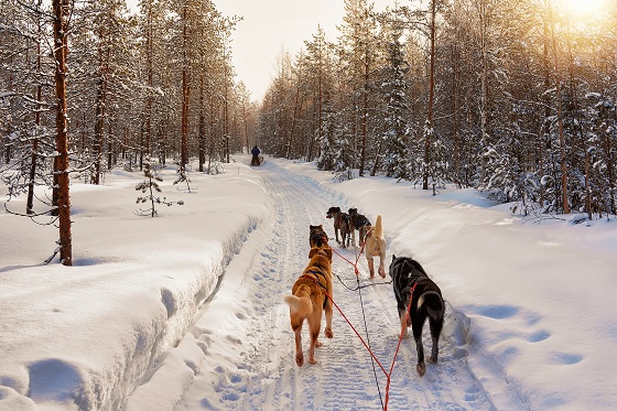 翠明假期旅行团 archives 翠明假期